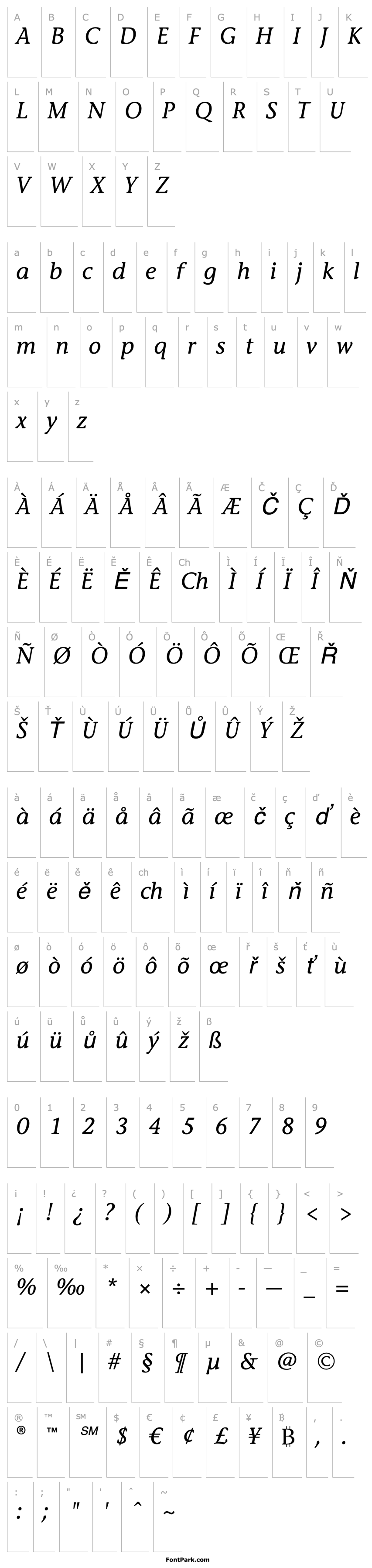 Overview Stone Inf ITC Medium Italic