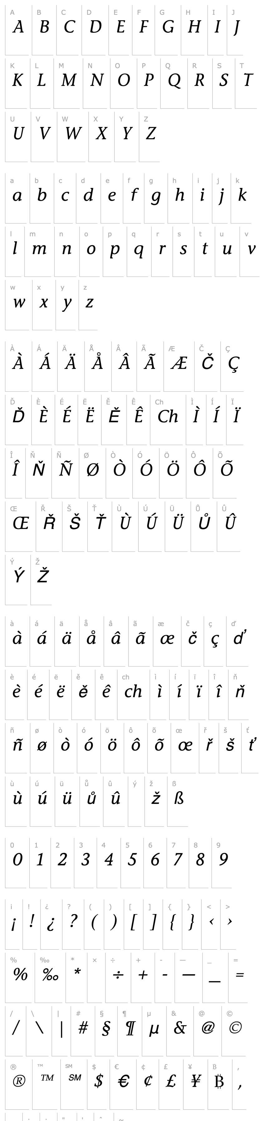 Overview Stone Informal Italic