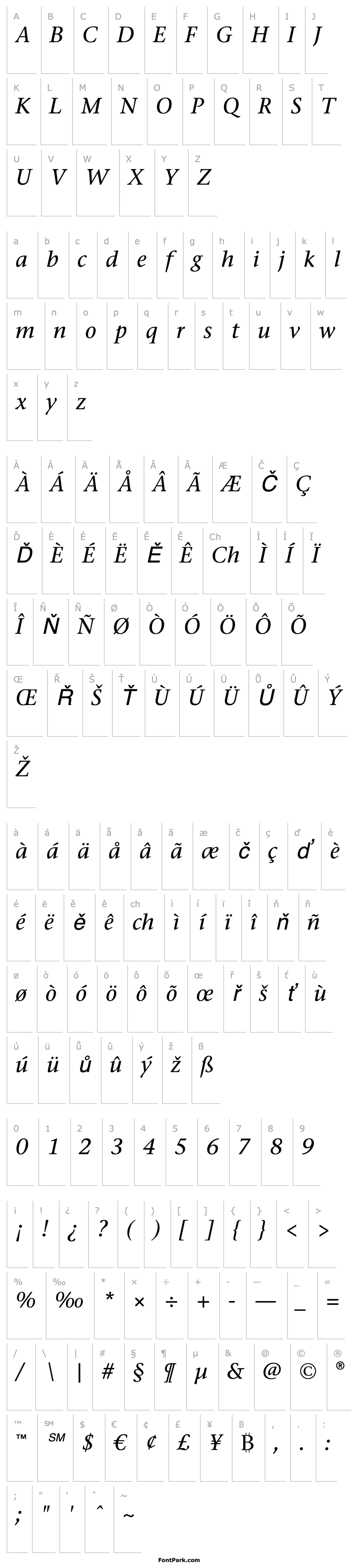 Overview Stone Serif ITC Medium Italic