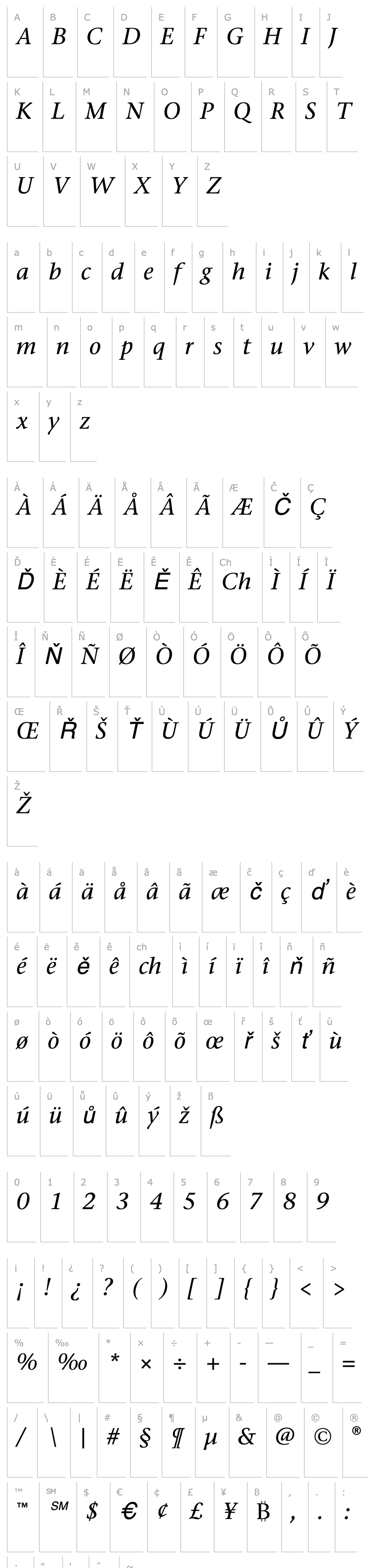 Overview Stone Serif ITC TT MediumItalic