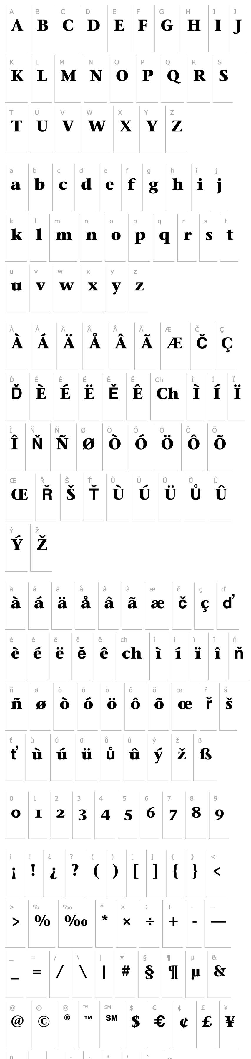 Přehled Stone Serif OS ITC TT Bold