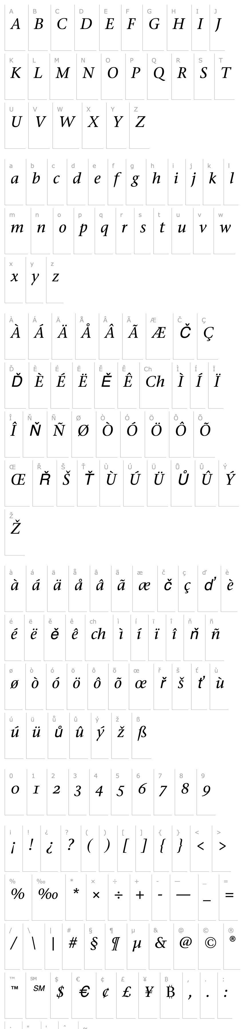 Overview Stone Serif OS ITC TT MediumIta