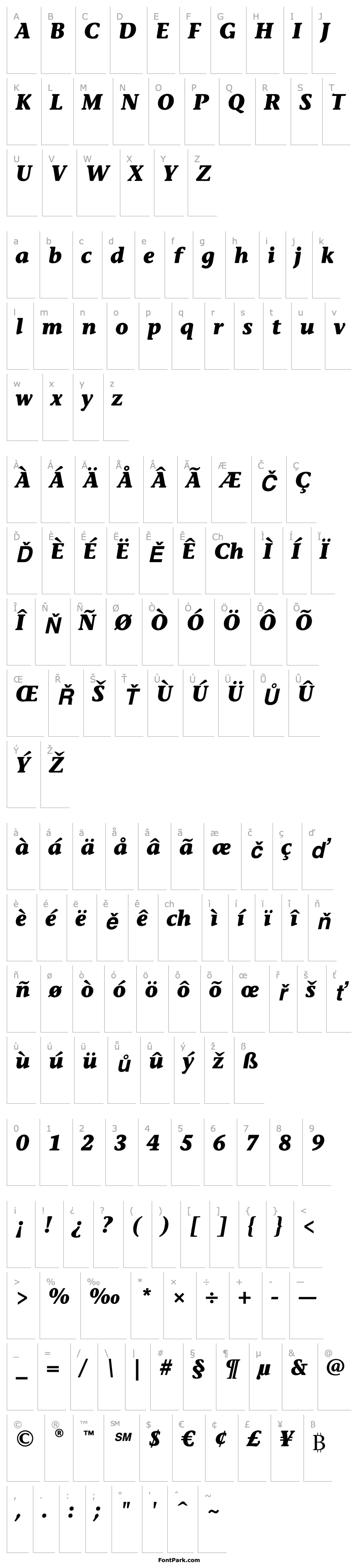 Přehled StoneInfITCStd-BoldItalic