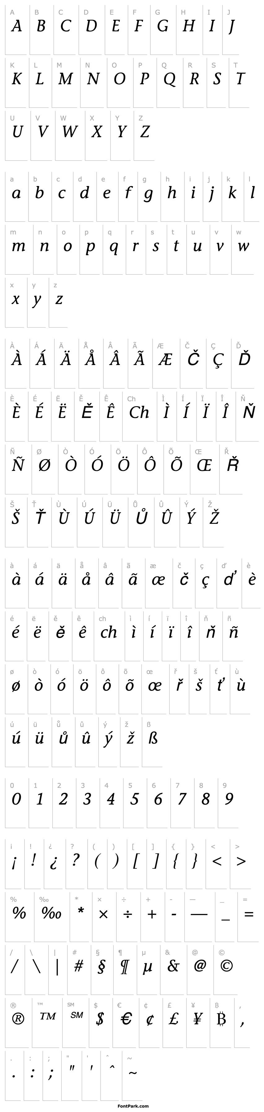 Overview StoneInformal Italic