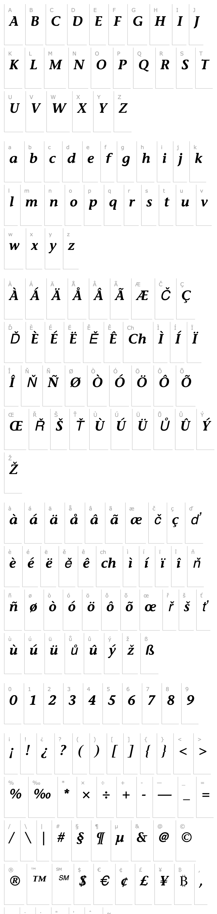 Přehled StoneInformal SemiboldItalic