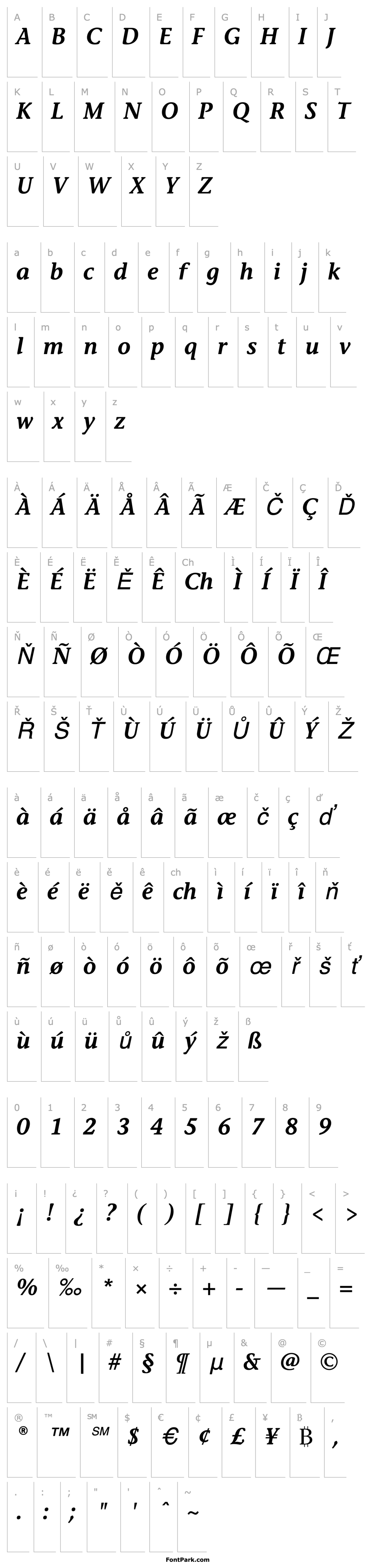 Overview StoneInfSemITC-SemiItalic