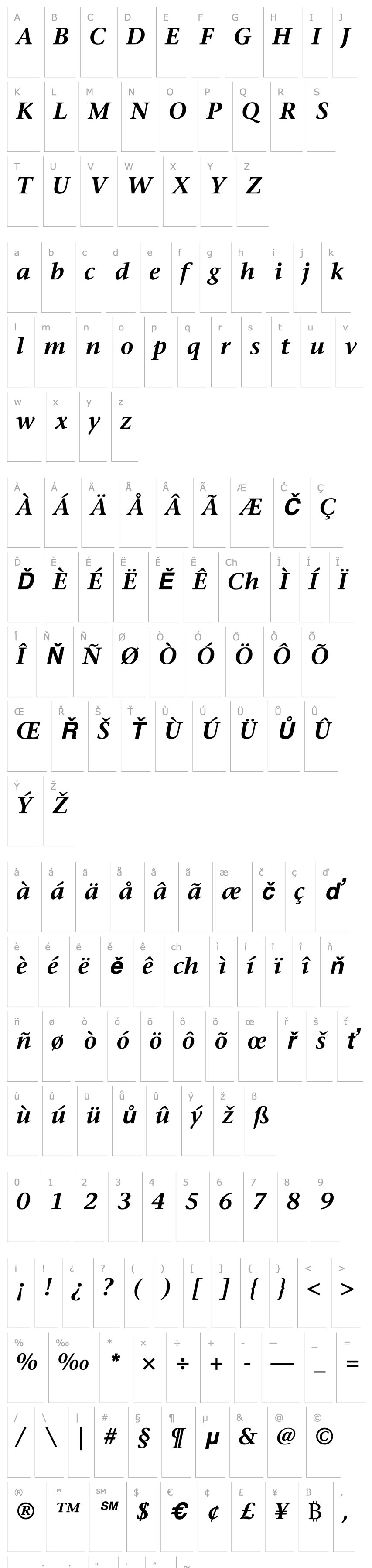 Overview StoneSerif-SemiboldItalic