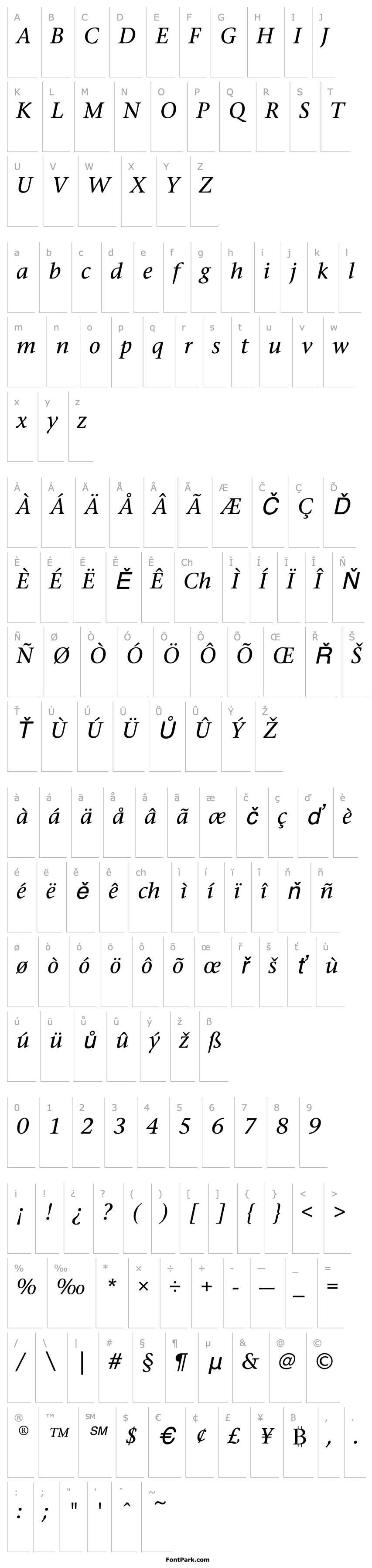 Overview StoneSerifEF-MediumItalic