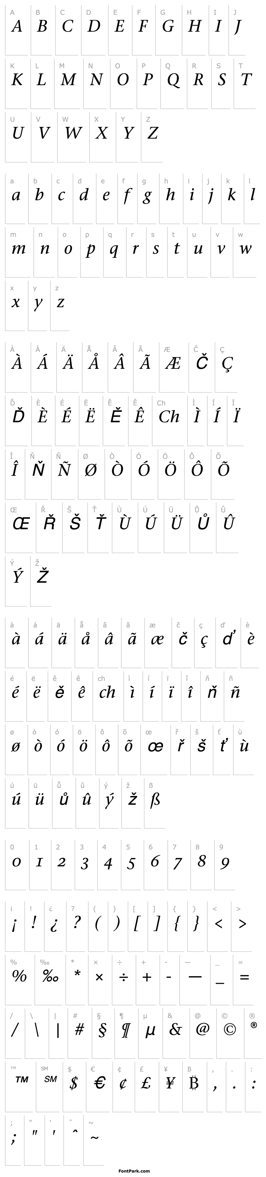 Přehled StoneSerifOSITC-MediumItalic