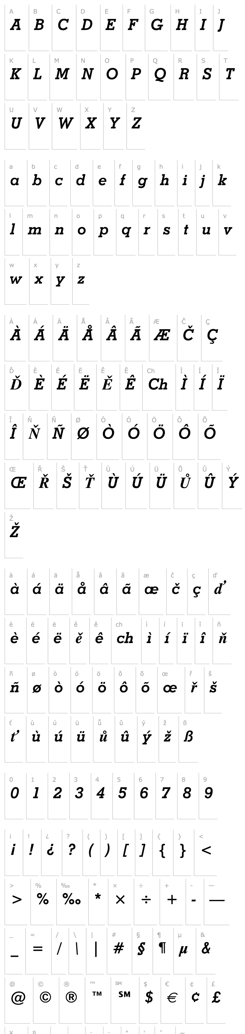 Overview Stymie Bold Italic BT