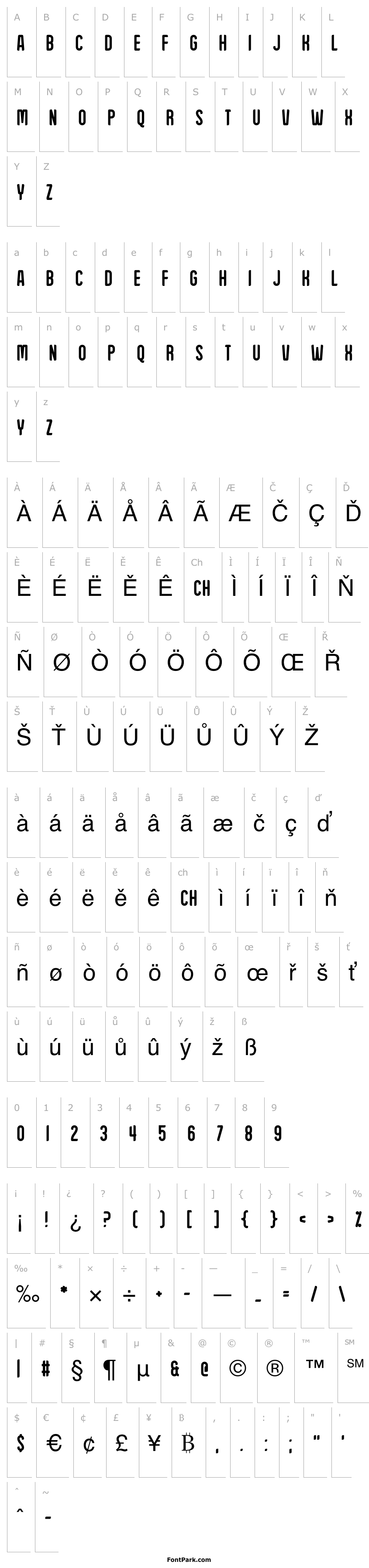 Overview Sunday Afternoon