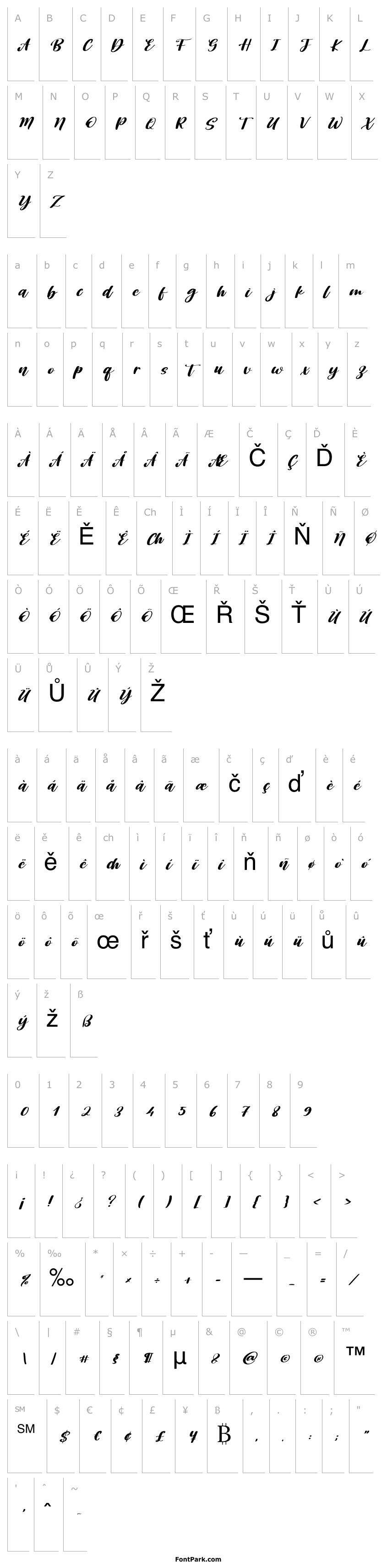 Overview Sunnday Italic