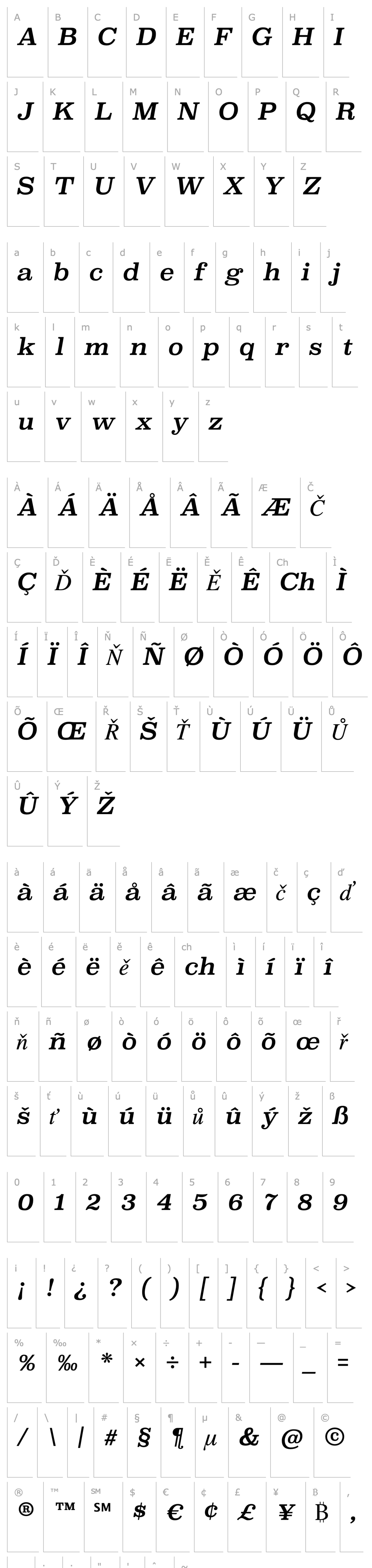 Overview Superclarendon Rg Italic