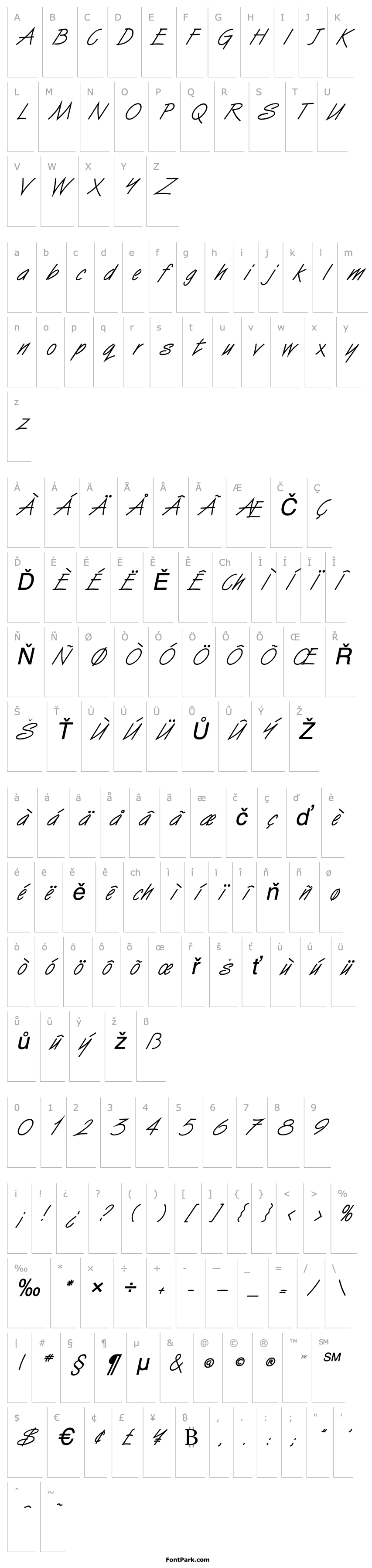 Overview Surfer Italic