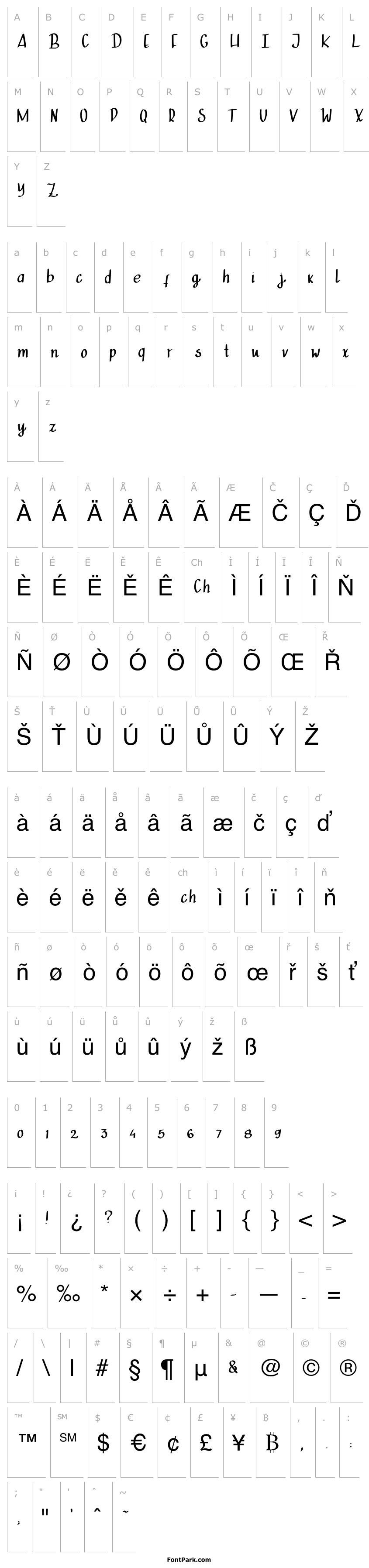 Overview Suri Regular
