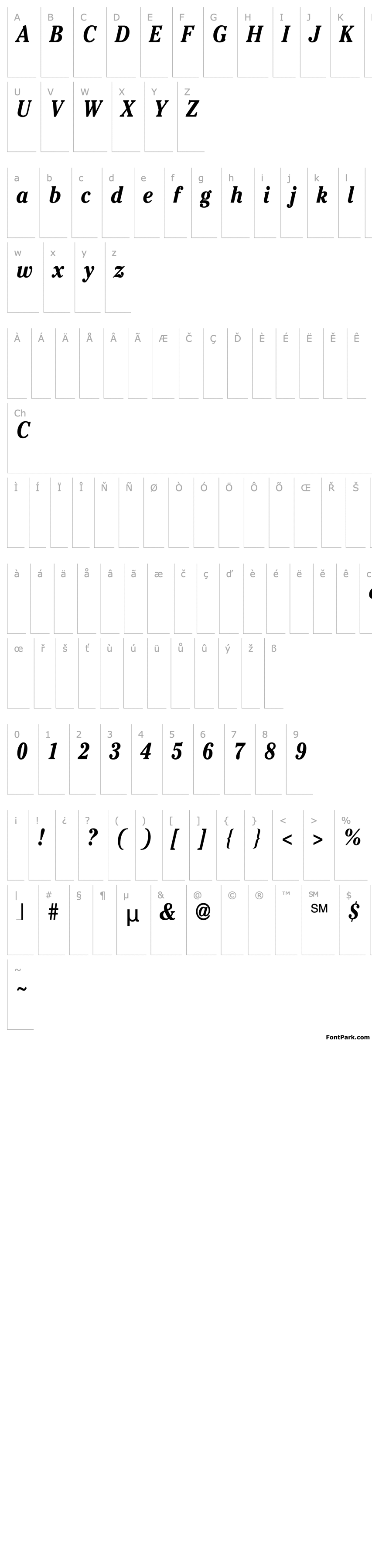 Overview Sussex Cond Bold Italic