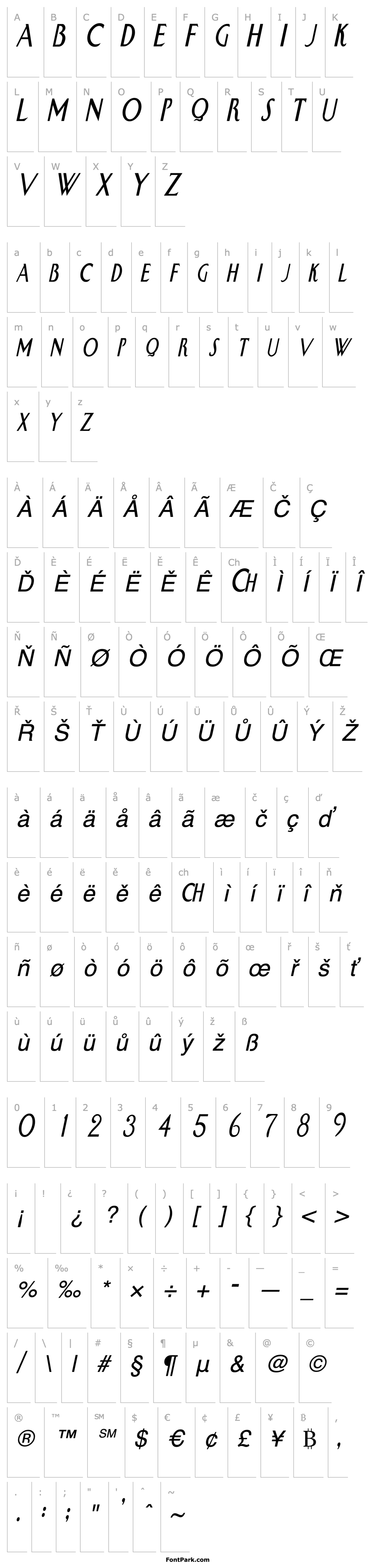 Overview SwanCondensed Italic