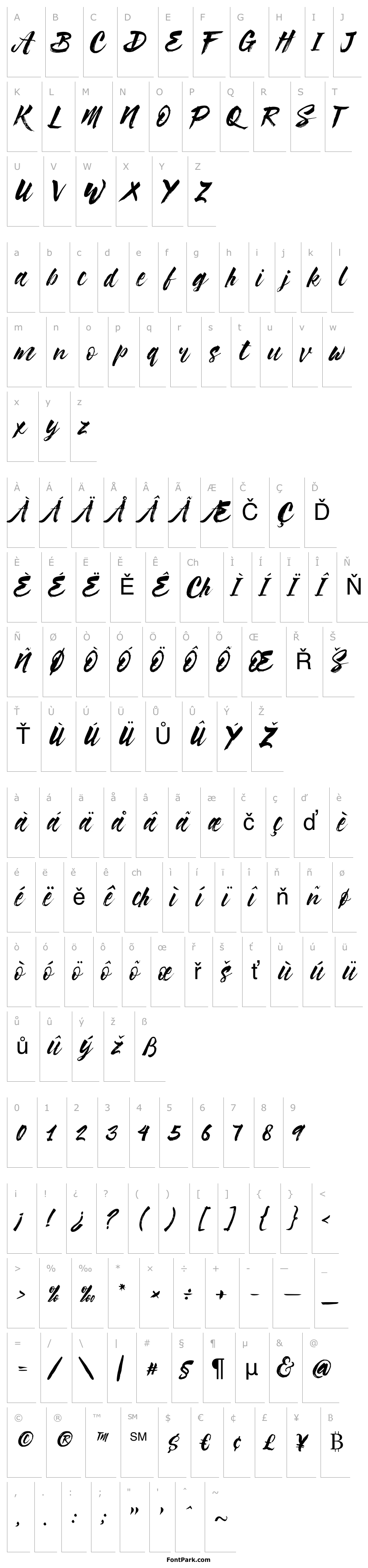 Overview Syabab Brush Script