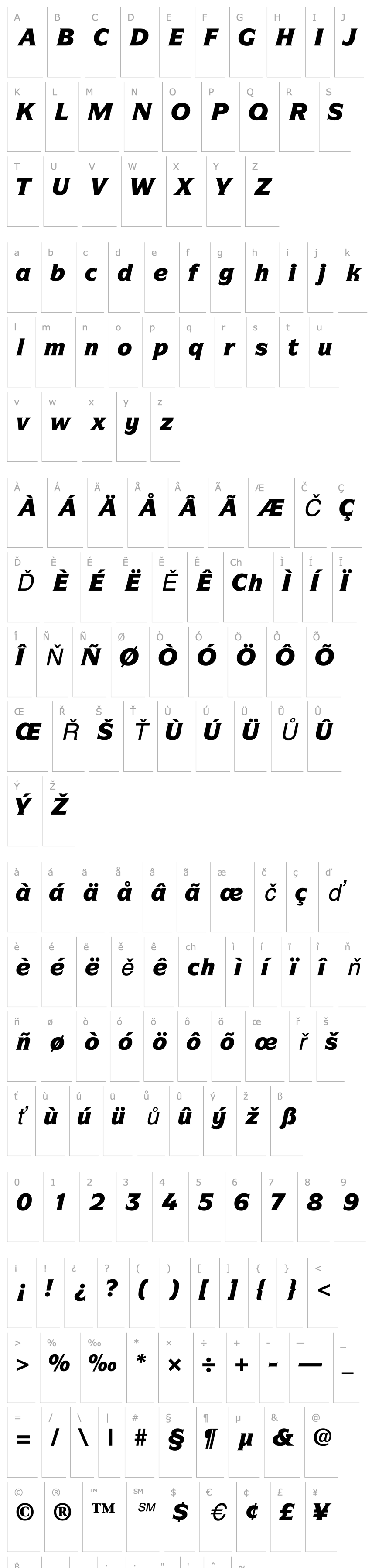 Overview SymbolBlackSSi Italic