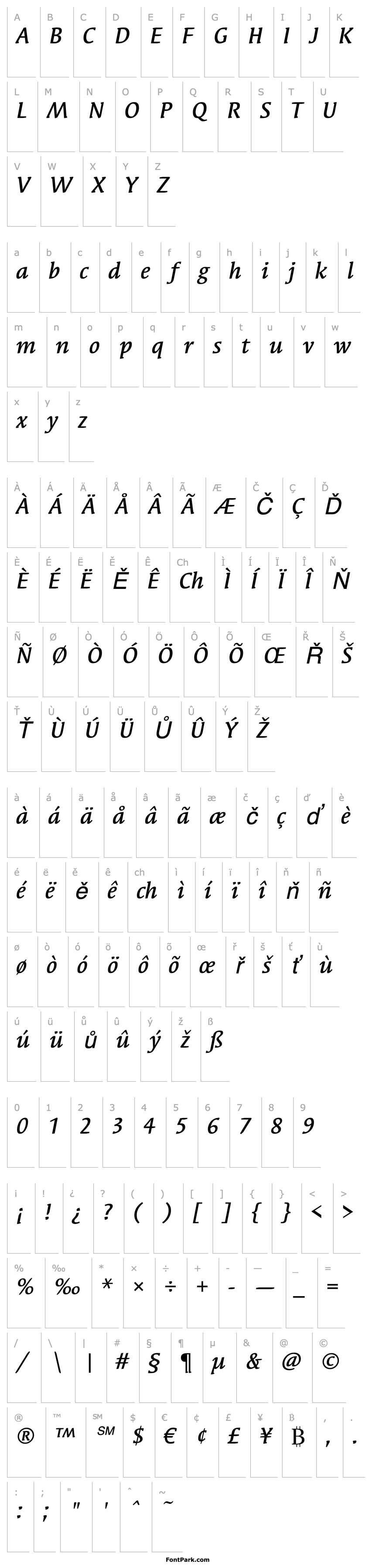 Overview Syndor ITC Medium Italic