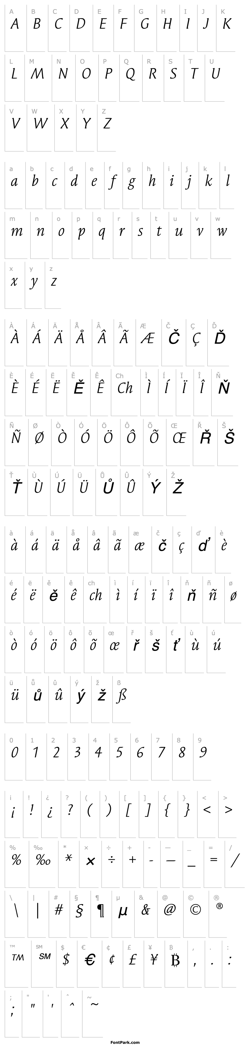 Overview SyndorEF-BookItalic