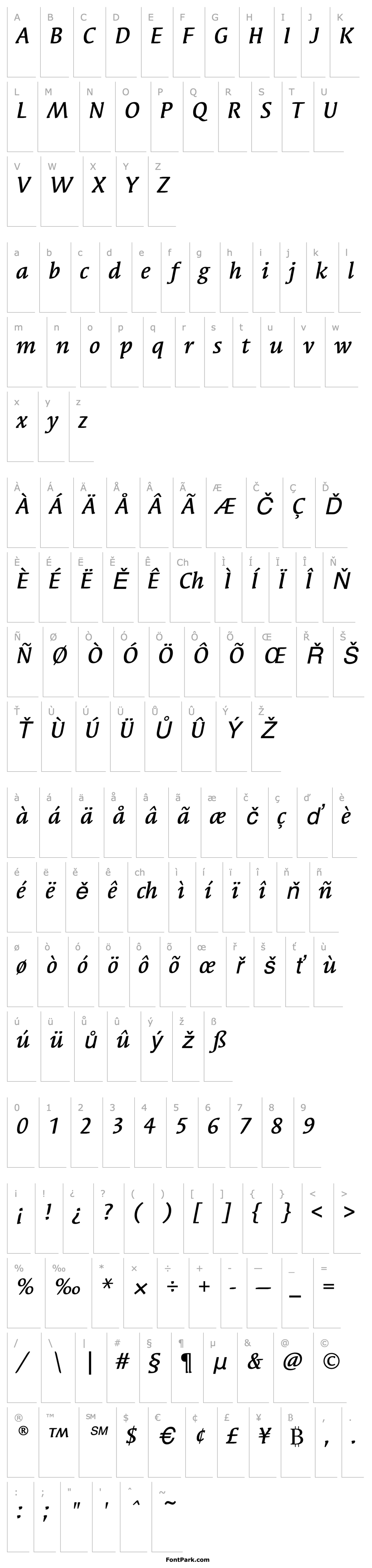 Overview SyndorEF-MediumItalic