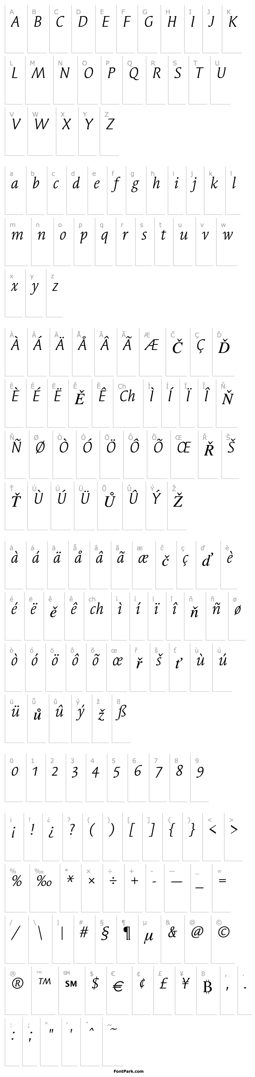 Přehled SyndorOSITC-Book Italic