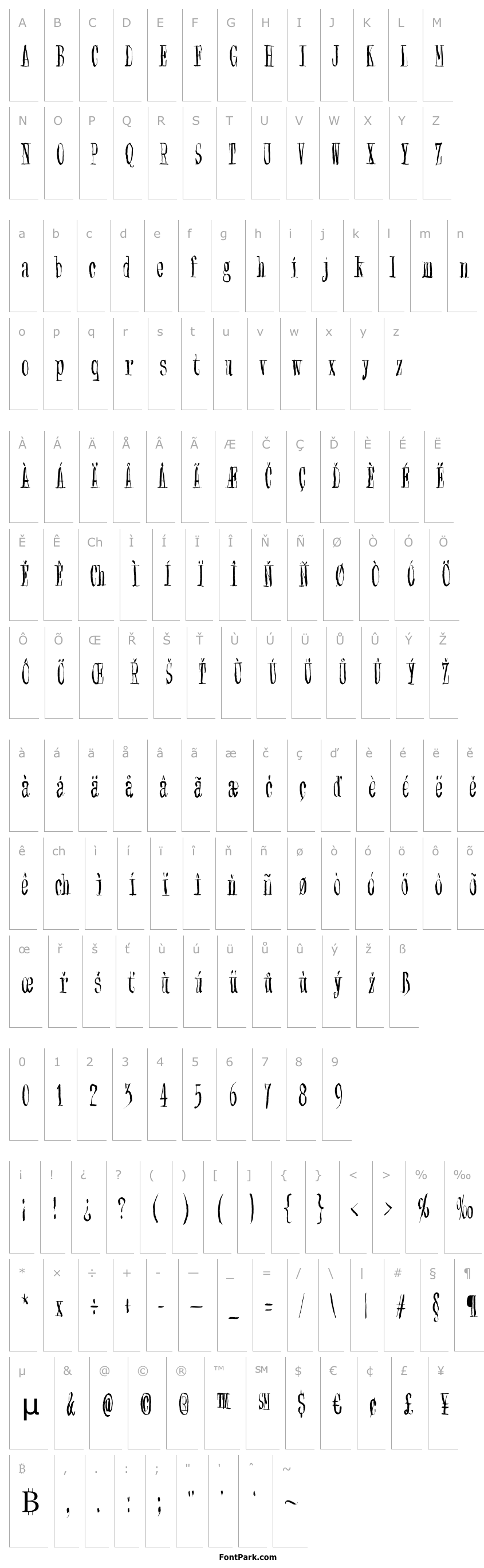 Přehled Synonym Blank