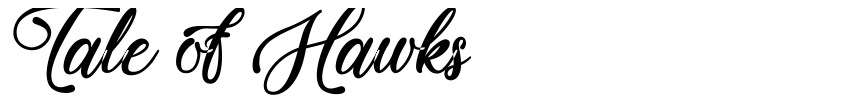 Preview Tale of Hawks