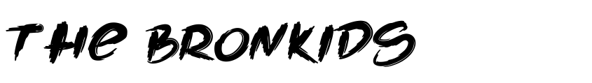 Preview The Bronkids