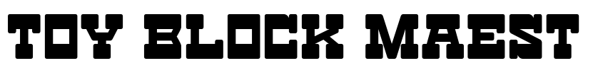 Preview Toy Block Maestro
