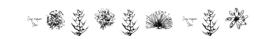 Preview Tupiniquim-Flora