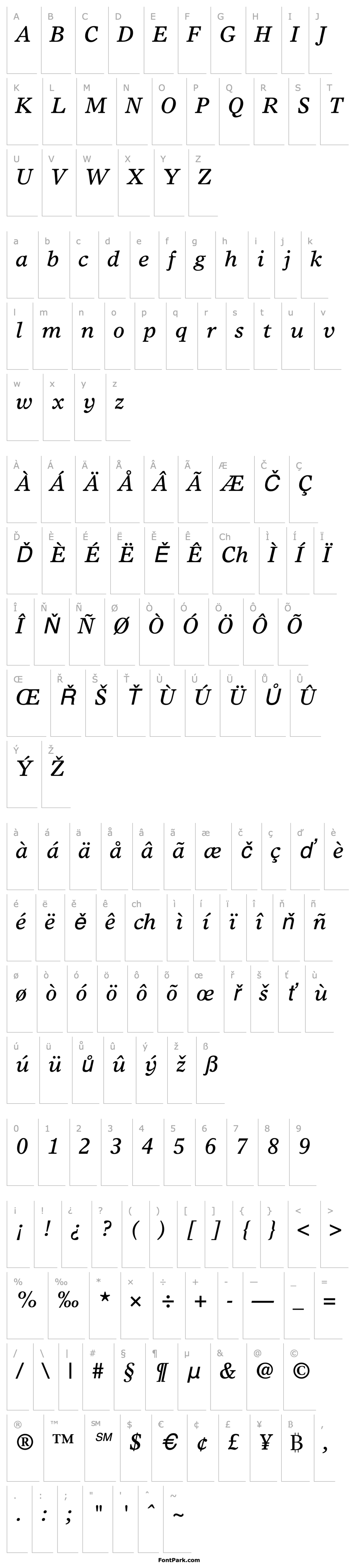 Přehled TimesEuropa-Italic