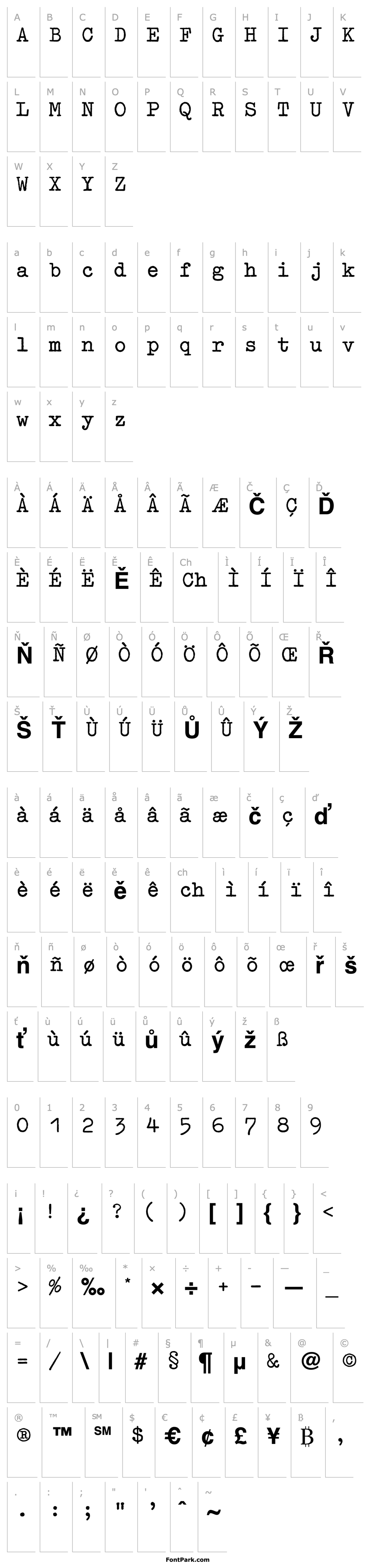 Overview Typewriter-Bold