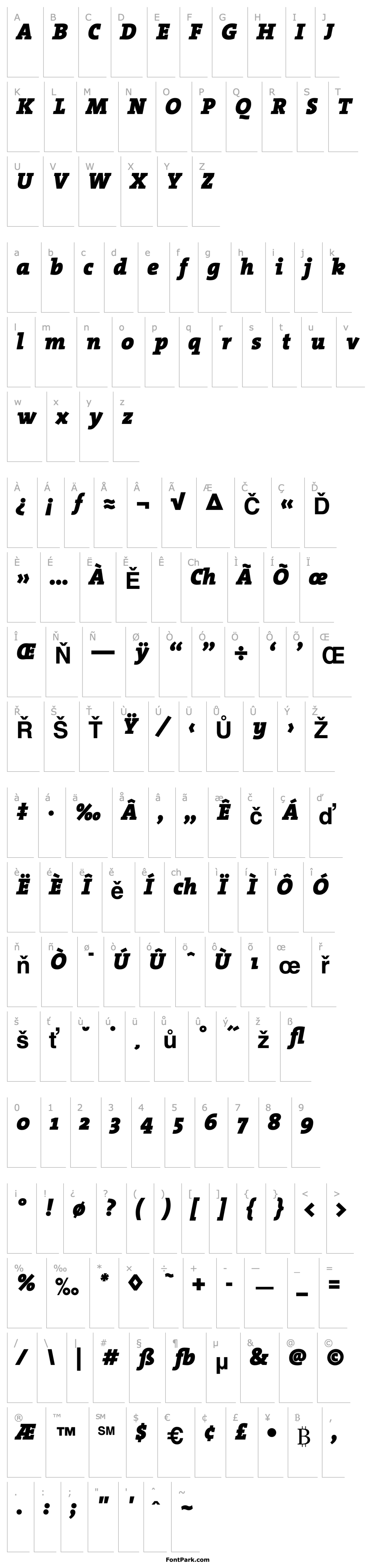 Přehled TheSerif-Black Italic