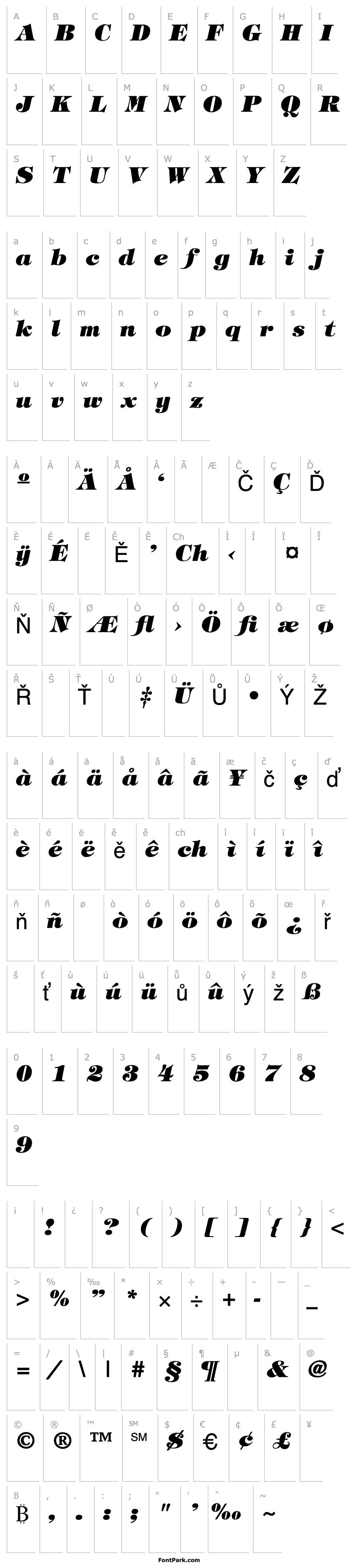 Overview Tiffany Heavy Italic