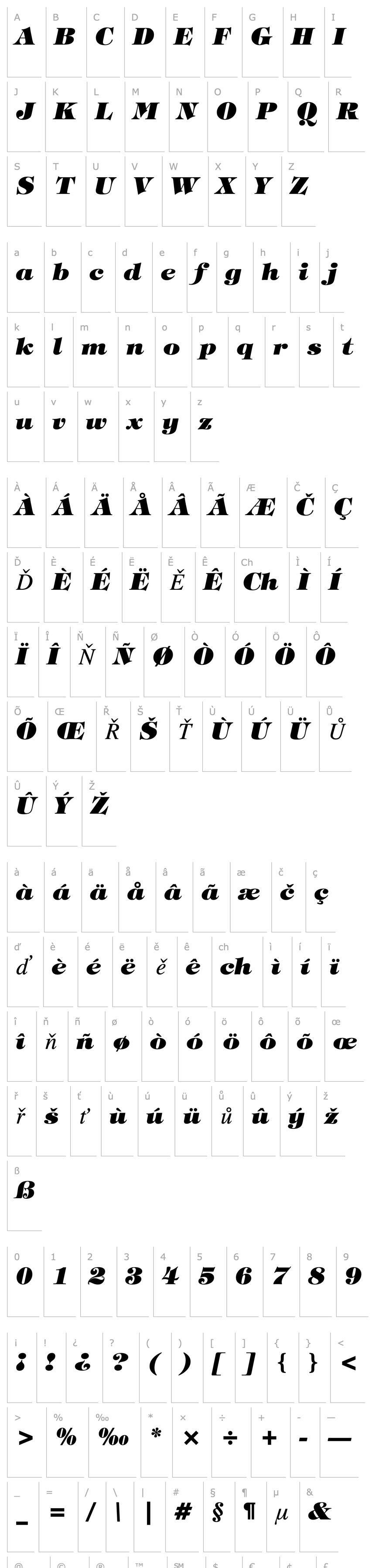 Overview Tiffany Heavy Italic BT