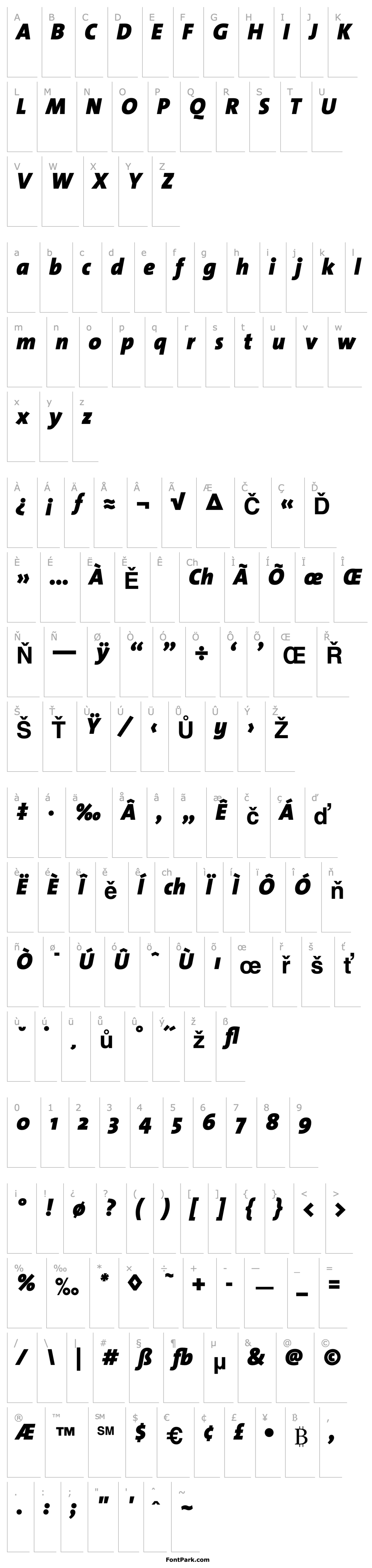 Přehled TheSans-Black Italic