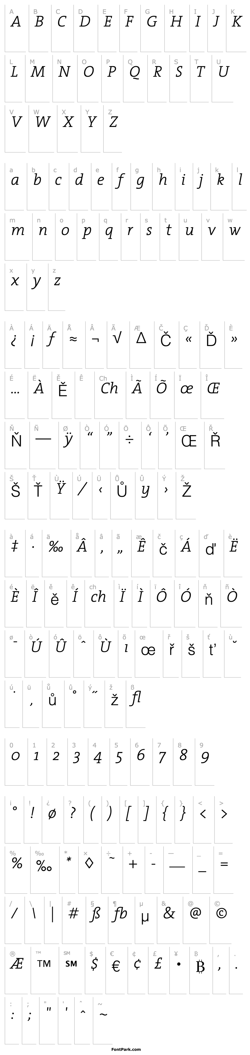 Overview TheSerif-Light Italic