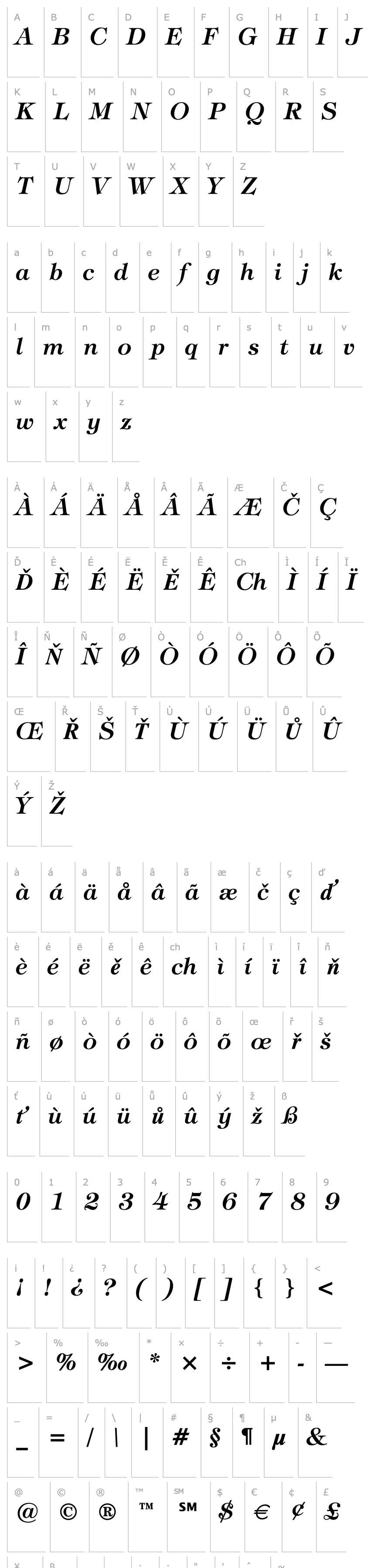 Overview Tiffany Demi Italic BT