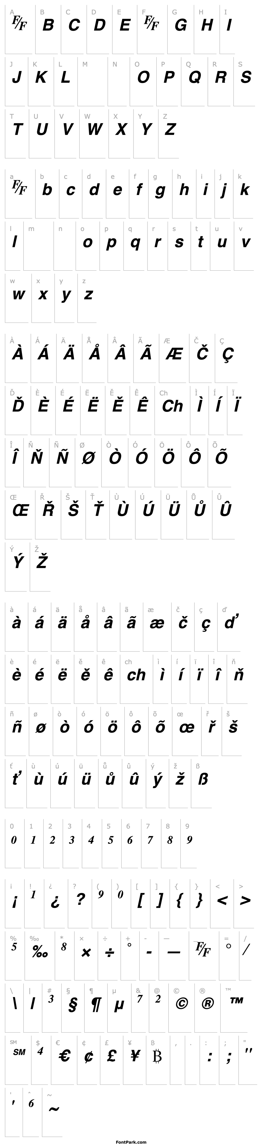 Přehled TmsFE-BoldItalic