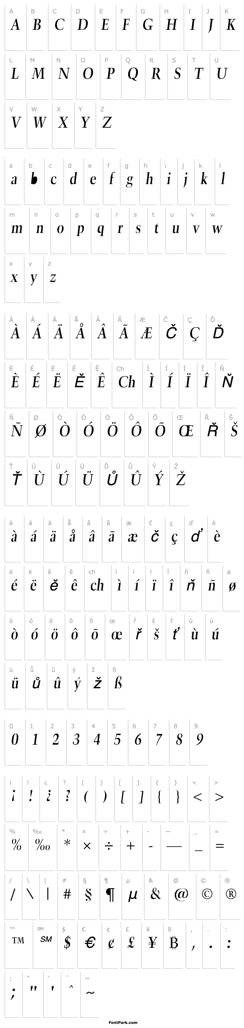 Overview TrumpetLite-Italic