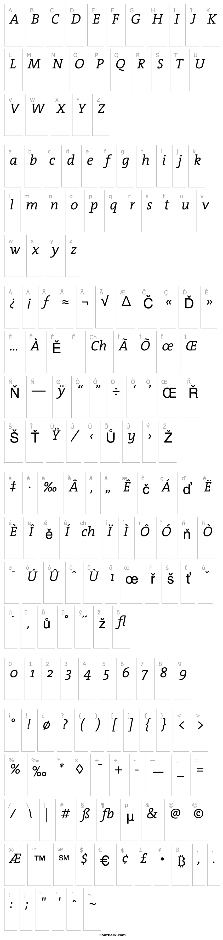 Přehled TheSerif-SemiLight Italic