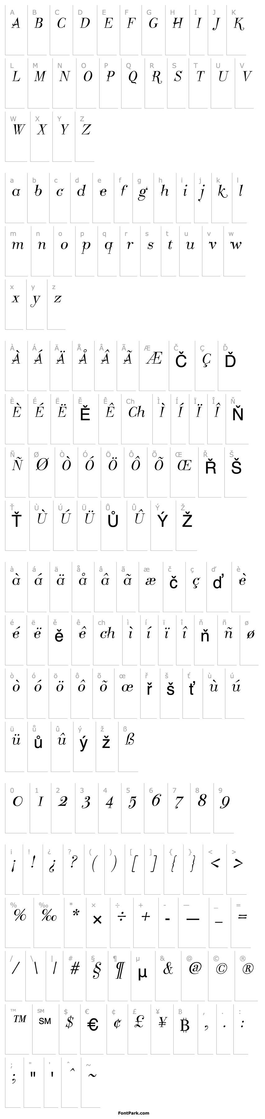 Přehled Take Five Italic PDF