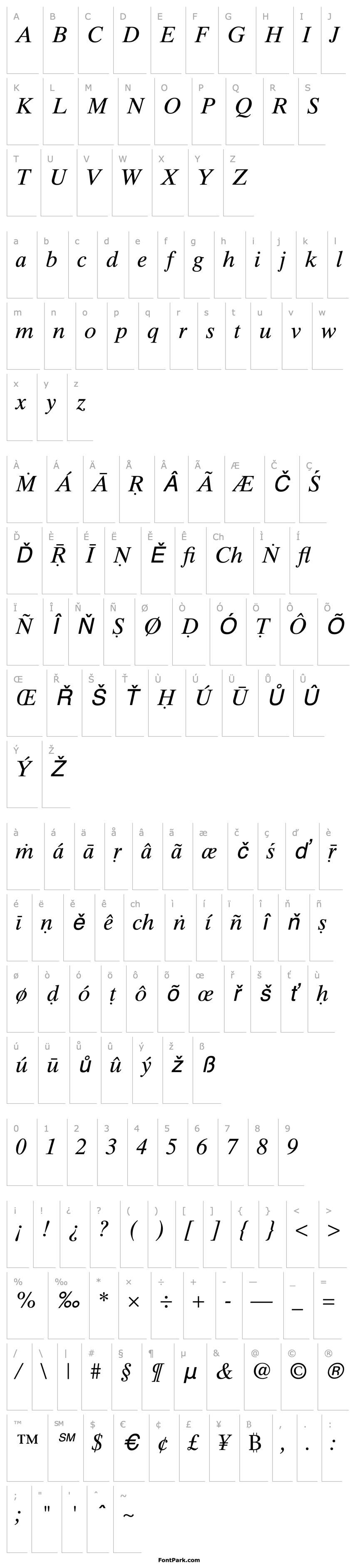 Přehled Tamal Italic