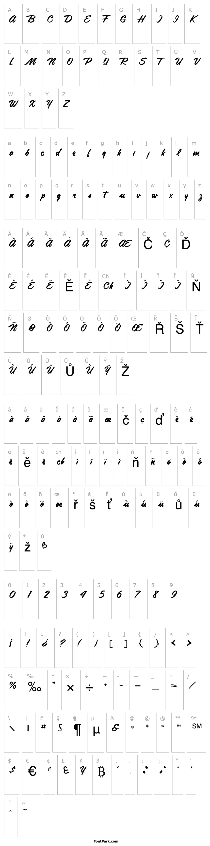 Přehled Tamte Semi-Script Regular