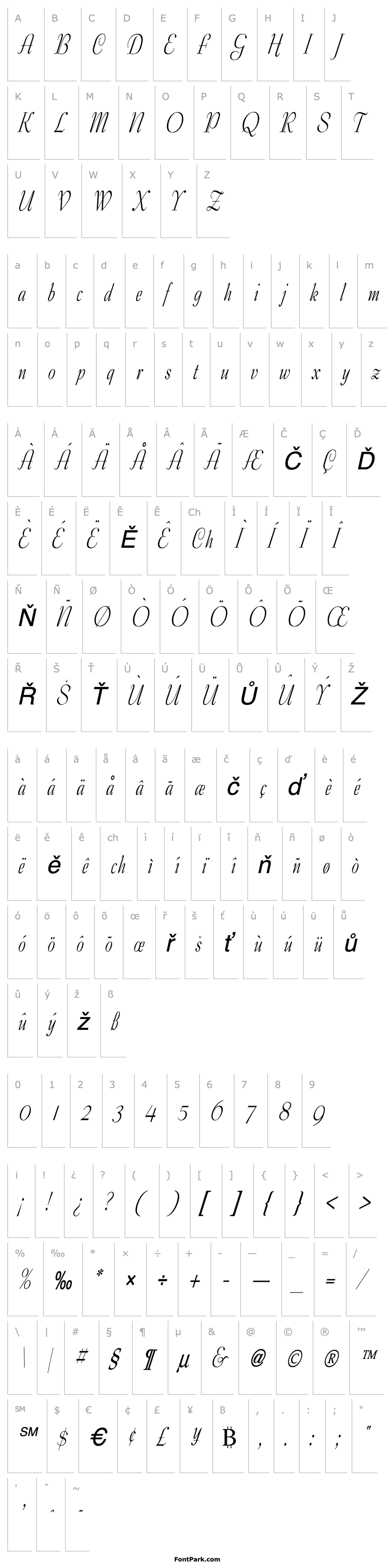 Overview Tango Condensed Italic