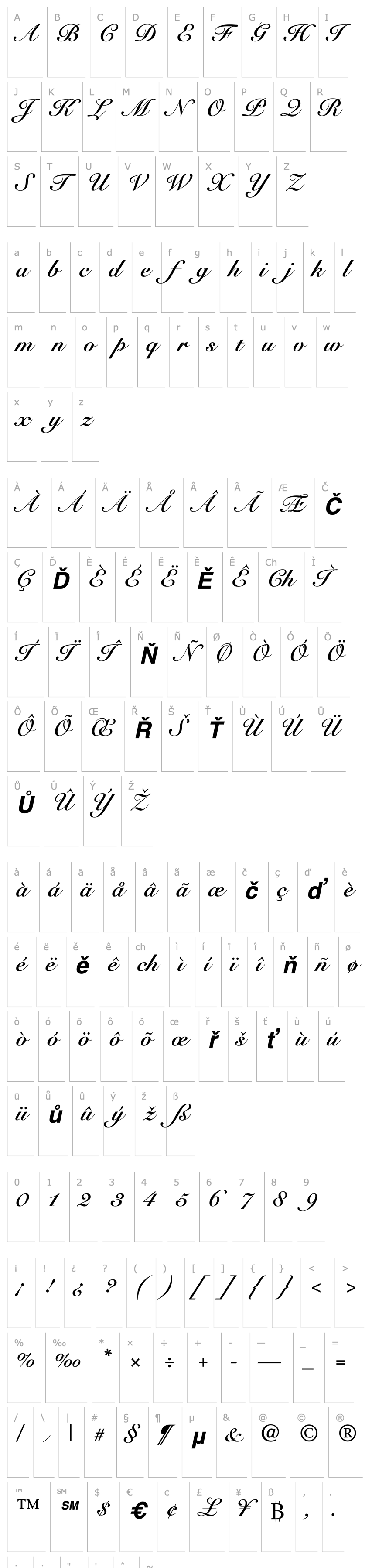 Přehled Tango Script SSi Bold