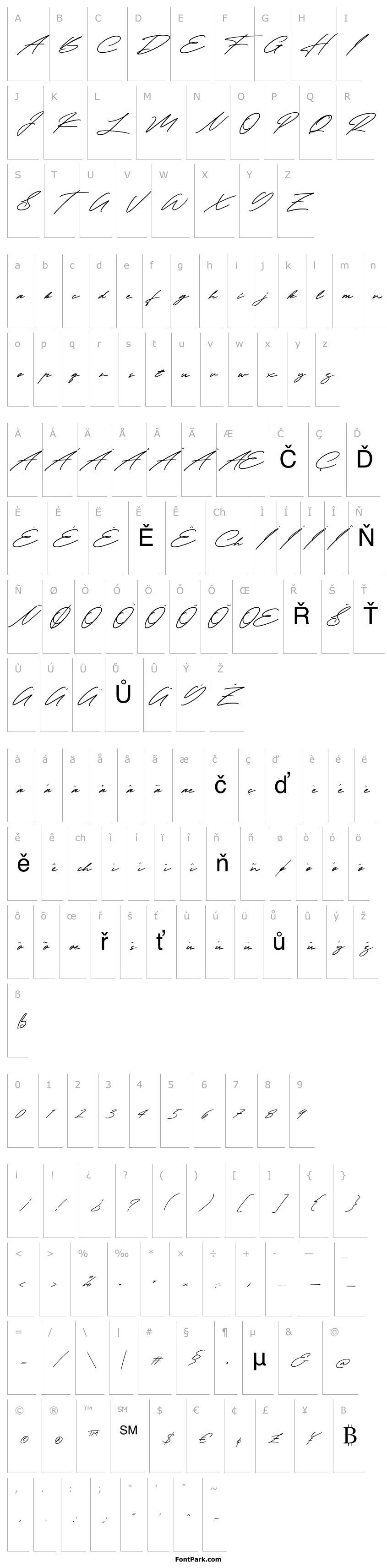 Overview Taniya Relly