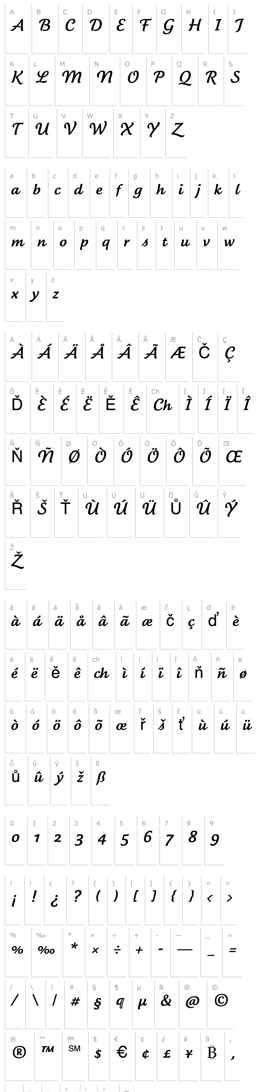 Overview Tartine Script Regular